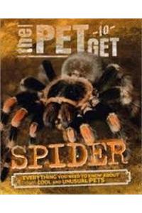The Pet to Get: Spider