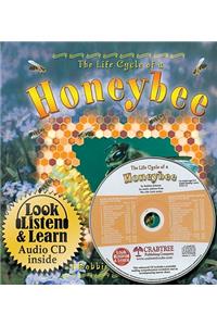 Life Cycle of a Honeybee