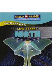 The Life Cycle of a Moth