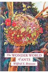 Wonder World of Ants