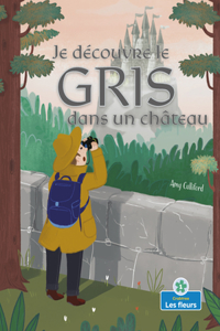 Je Découvre Le Gris Dans Un Château (I Spy Gray in a Castle)