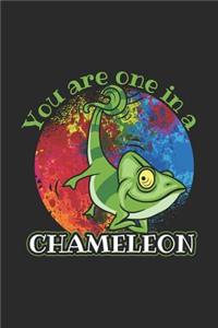 You Are One In A Chameleon