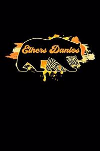 Ehlers Danlos