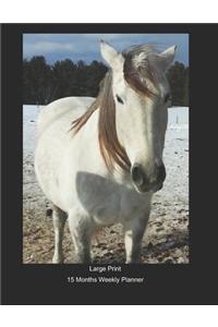 Large Print - 2020 - 15 Months Weekly Planner - I Love Horses - White Horse