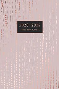2020-2022 Three Year Planner