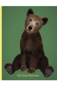 100 Day Planner