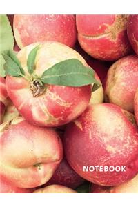 College Ruled Notebook
