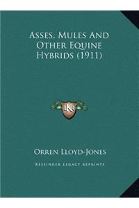 Asses, Mules And Other Equine Hybrids (1911)