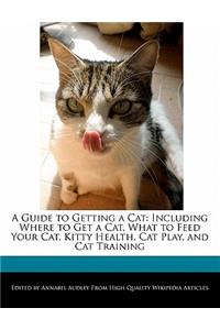 A Guide to Getting a Cat