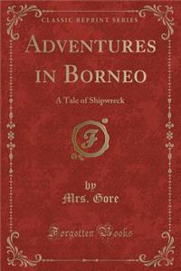 Adventures in Borneo
