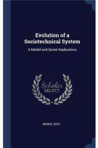 Evolution of a Sociotechnical System