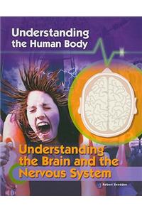 Understanding the Brain and the Nervous System
