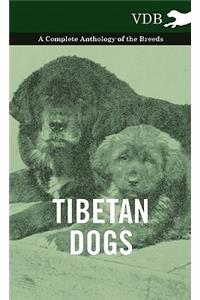 Tibetan Dogs - A Complete Anthology of the Breeds