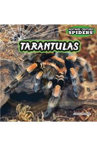 Tarantulas