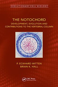 The Notochord