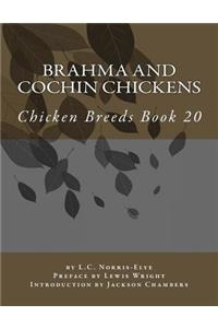 Brahma and Cochin Chickens