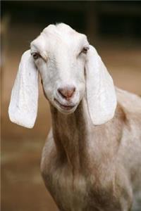 Smirking Goat Animal Journal