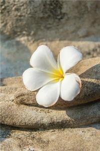 Budhha Palm Flower Grid Notebook