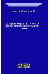 Koncentracii Na Chislah Dlja Vosstanovlenija Organizma Sobak