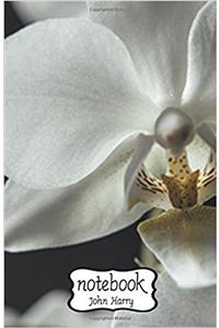 Notebook Journal Dot-grid, Graph, Lined, Blank, No Lined - Notebook White Flower: Small Pocket Notebook / Journal / Diary