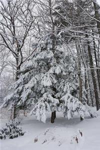 Snowstorm Trees Winter Weather Journal