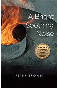 Bright Soothing Noise: Stories