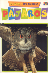 Pajaros