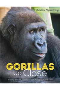 Gorillas Up Close