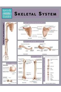 Skeletal System (Speedy Study Guide)