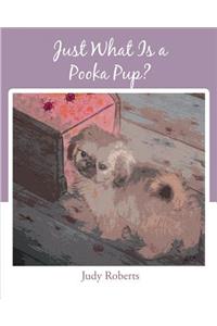 Just What Is a Pooka Pup?