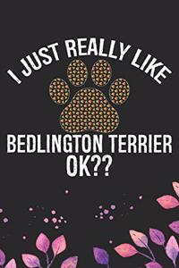 I Just Really Like Bedlington Terrier