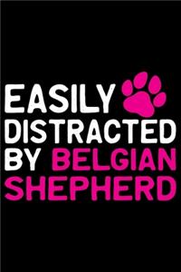 Easily Distracted by Belgian Shepherd
