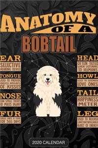 Anatomy Of A Bobtail