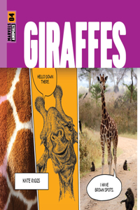 Giraffes