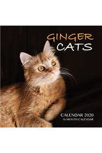 Ginger Cats Calendar 2020