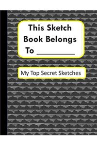 This Sketch Book Belongs To__________