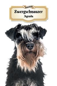 2020 Zwergschnauzer Agenda: 107 Pagine - Dimensioni DIN A5 - Pianificatore Settimanale - 12 Mesi - Due Pagine Per Settimana - Calendario - Diario - Cane