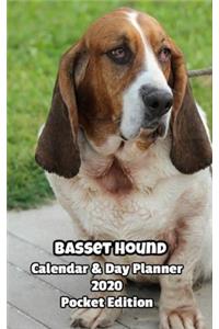 Basset Hound Calendar & Day Planner 2020 Pocket Edition