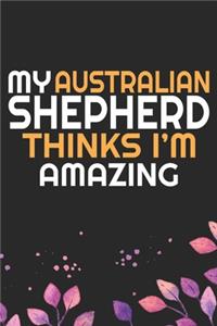 My Australian Shepherd Thinks I'm Amazing