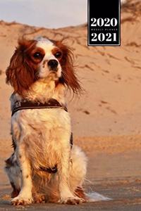 Cavalier King Charles Spaniel Dog Calendar Week Planner 2020 / 2021 - Beach Sunset