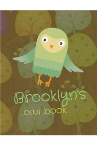 Brooklyn's Owl Book