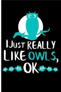 I Just Really Like Owls, Ok