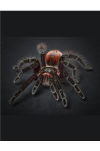 Tarantula Spider Notebook Journal 150 Page College Ruled Pages 8.5 X 11