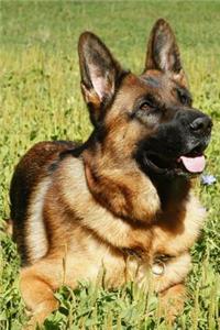 German Shepherd Notebook