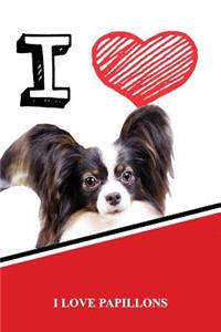 I Love Papillons