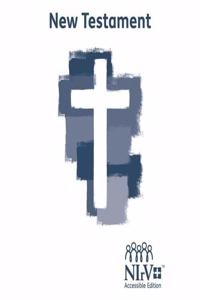 NIRV ACCESSIBLE EDITION NEW TESTAME