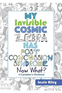 My Invisible Cosmic Zebra Has Post Concussion Syndrome - Now What?