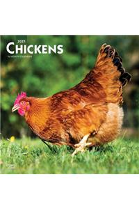 Chickens 2021 Square