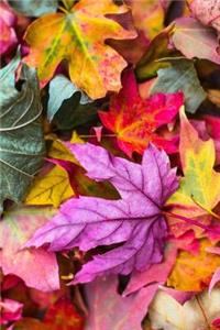 Colorful Bold Autumn Leaves with Stems Journal