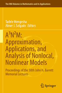 A3n²m: Approximation, Applications, and Analysis of Nonlocal, Nonlinear Models